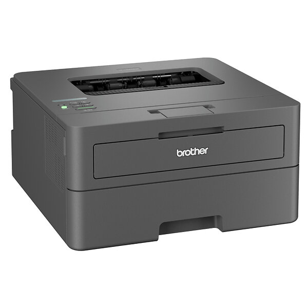 Brother HL-L2400DW (Svart)